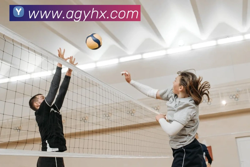 ag官网发展历程